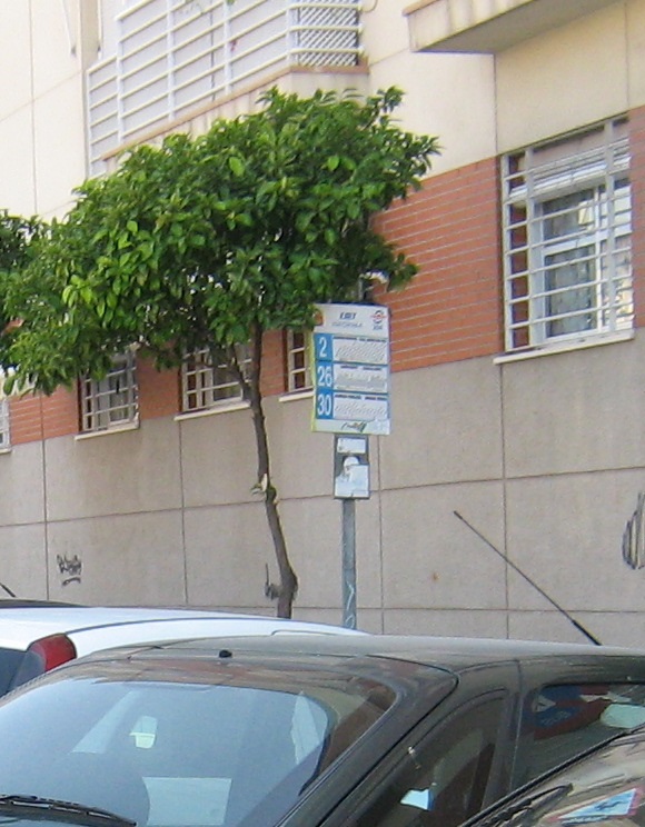 204.jpg