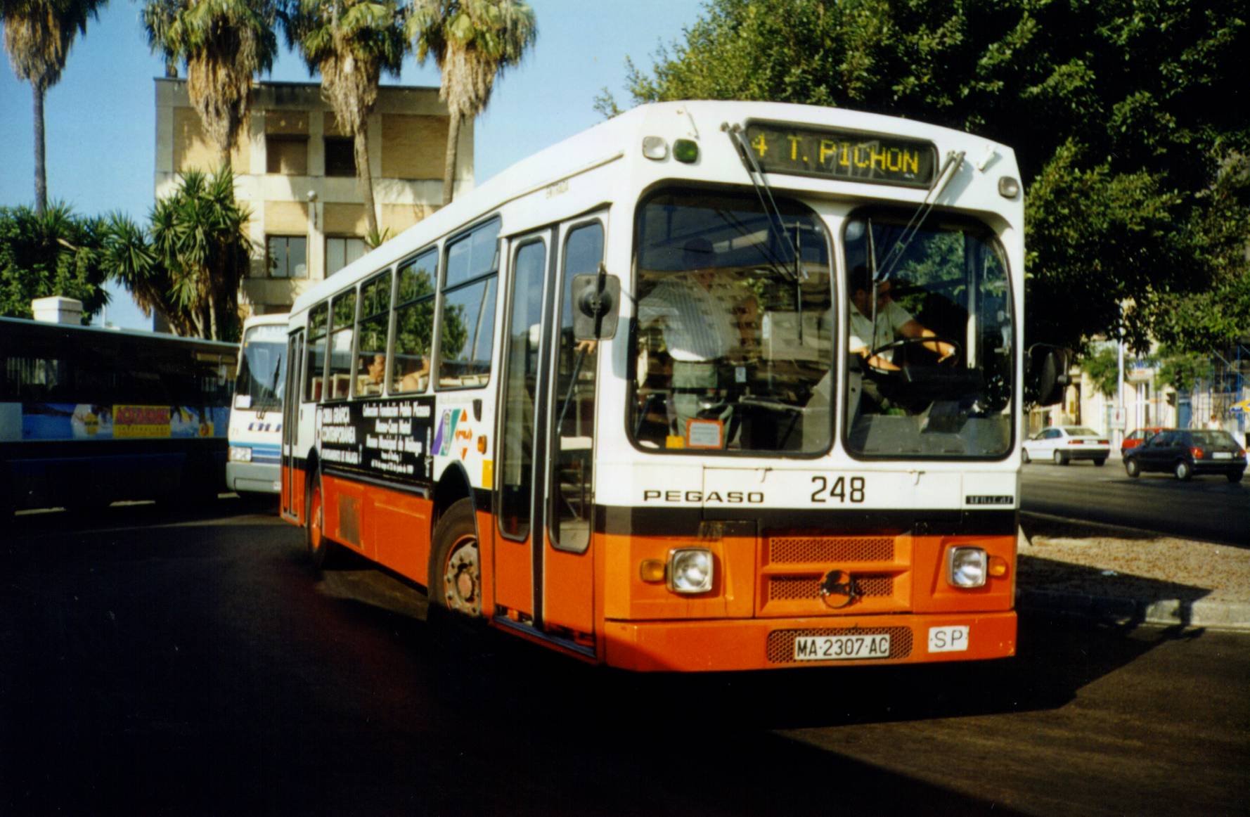 248.jpg