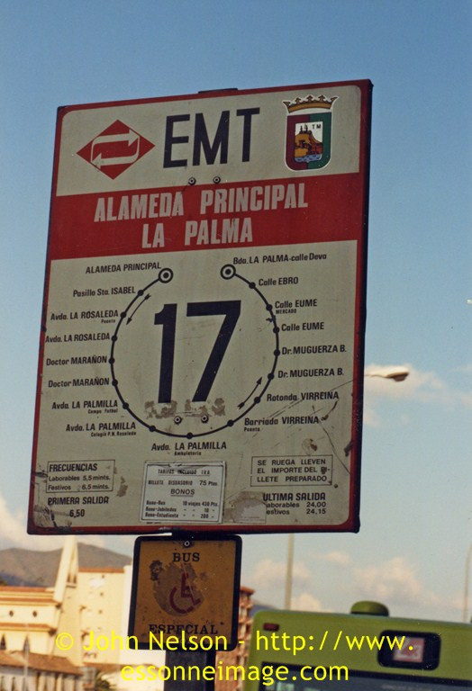 pteaurora-1.jpg