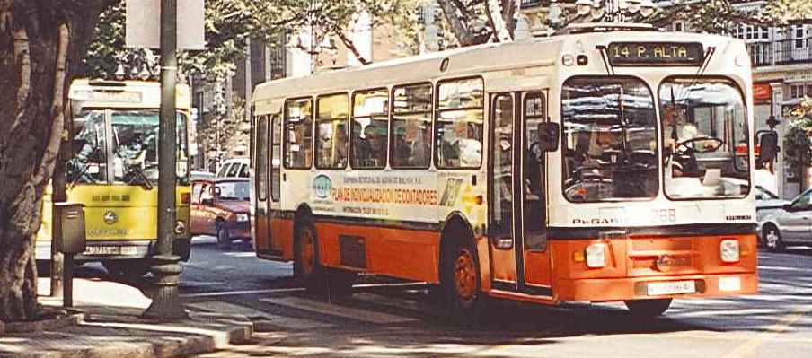 268.jpg