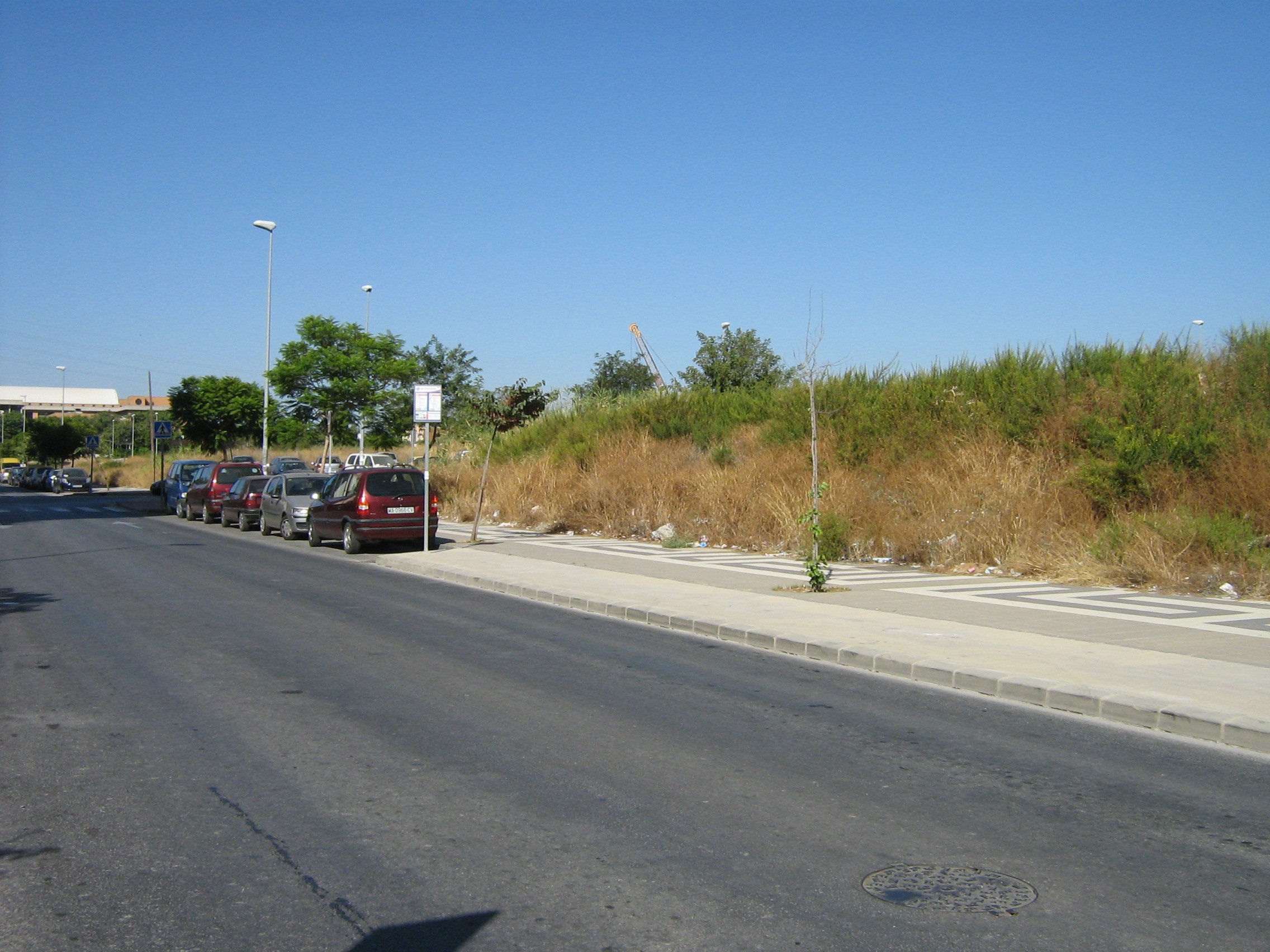 2010.jpg