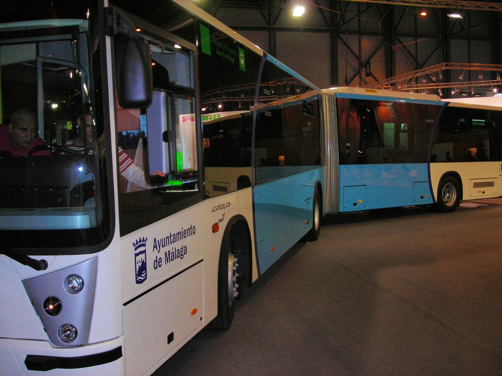 fiia08.jpg