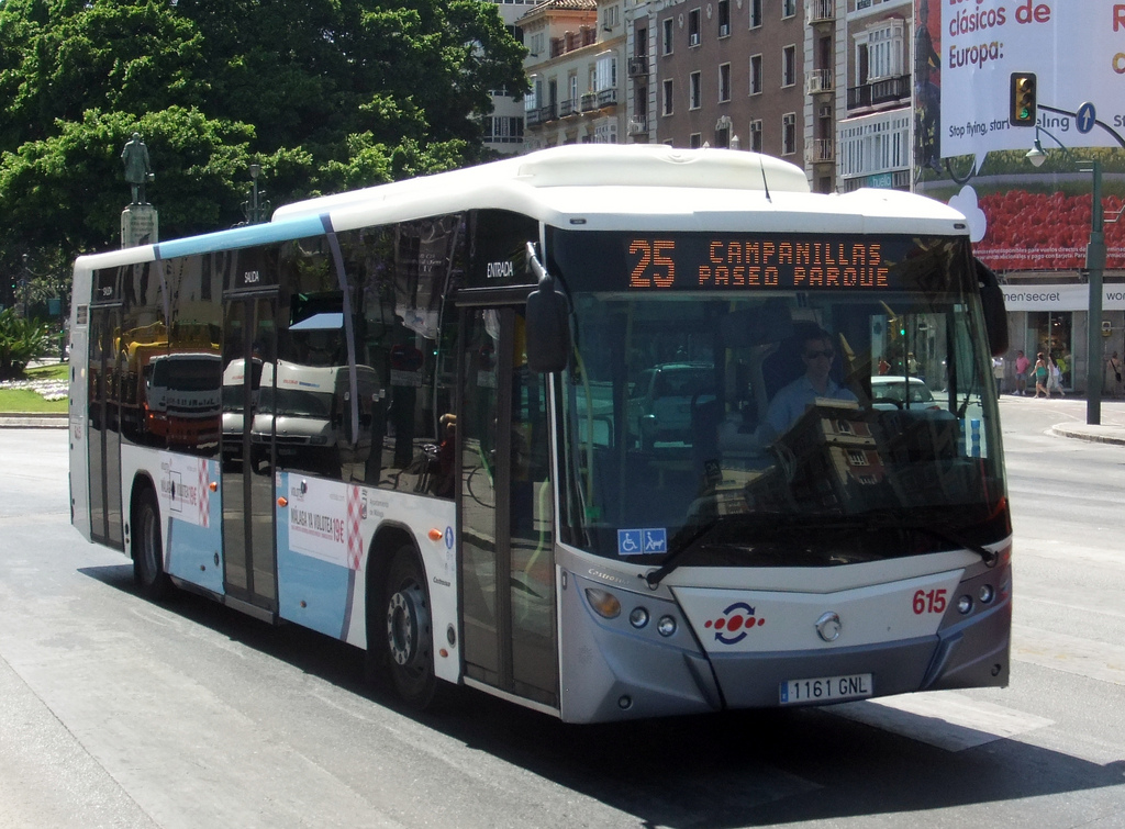 25.jpg